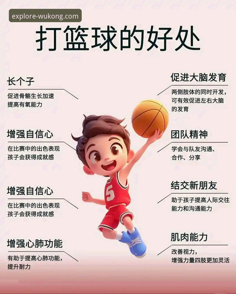 悟空体育篮球直播使用指南 悟空体育综合平台如何重塑你的篮球观赛体验?一份深度使用指南